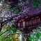 夜桜の城址会館