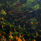 Landscape3