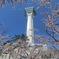 桜を追いかけて