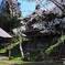 東山公園