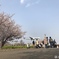 005 桜と飛行機