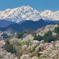 鹿島槍と山桜