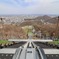 ラージヒルジャンパーの視界