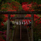 愛宕神社を彩る