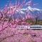 新しい時代への希望
