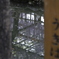 映る　その64