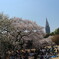 新宿御苑の花見で賑わう