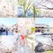 4月