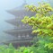雨に煙る