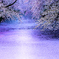 妖艶桜