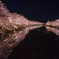 春陽橋からの絶景