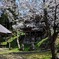 東山公園