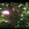 4AA3FC9E-F441-41DA-ACB9-81BE5BB997CD