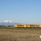 岩木山と津軽鉄道