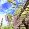 91F4FF08-DFC5-448D-A4BF-86247958E6BE