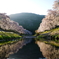 滋賀県　鮎河千本桜