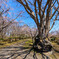 有珠善光寺　その１