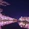 夜桜