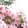 3D46BD3E-89CB-4427-912B-445F57D7D22C