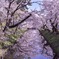 弘前公園にて