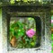 覗き見