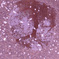 Another cherry blossom...