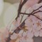 桜　①狭山池
