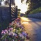 Roadside flower bed