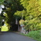 懐かしい道