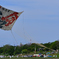 相模の大凧”令和”