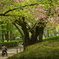 春の公園にて