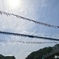 五月晴れの空を泳ぐ鯉のぼり