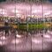 藤・reflection