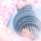 東京撮影旅行記 〜異色の組み合わせ〜 #2
