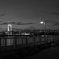 DSC09991