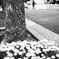 street
