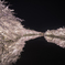 弘前公園３