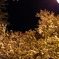 light up