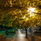 light up