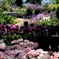 garden_01