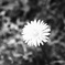 F7A7EBD5-3ED8-4B79-82D2-B17604415D44
