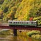 紅葉の中走る列車