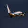 Sunset Flight