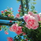 225F8224-1E3F-4185-8AA5-2330A0D61704