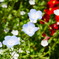 2DC9391A-F2CB-47D9-8E9A-5720C1821937