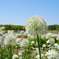 0BB924E2-F1A8-41D4-B662-CC9171777D6E
