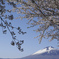 岩手山のある風景