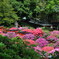 20190428_根津神社_012