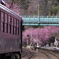 ほろ酔い列車