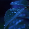 雨の日